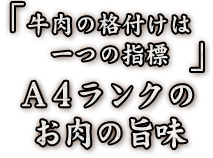 お肉の旨味