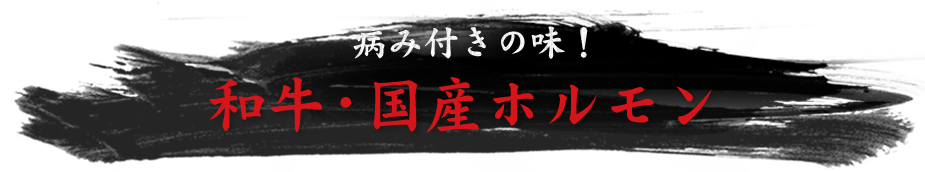 和牛・国産ホルモン